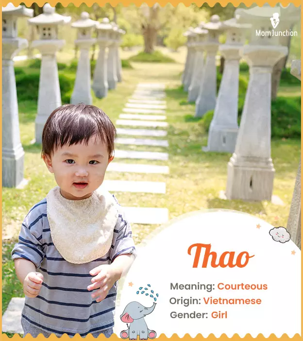 Thao: Name Meaning, Origin, History, And Popularity | MomJunction