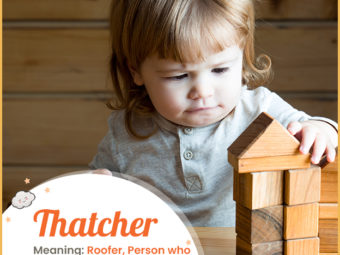 Thatcher, meaning roofer or person who thatches roofs