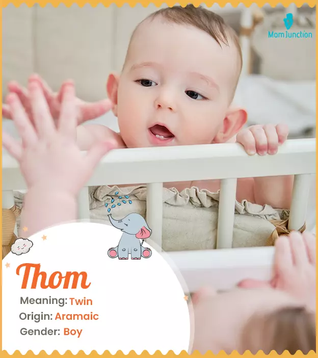 Thom Name, Meaning, Origin, History, And Popularity_image