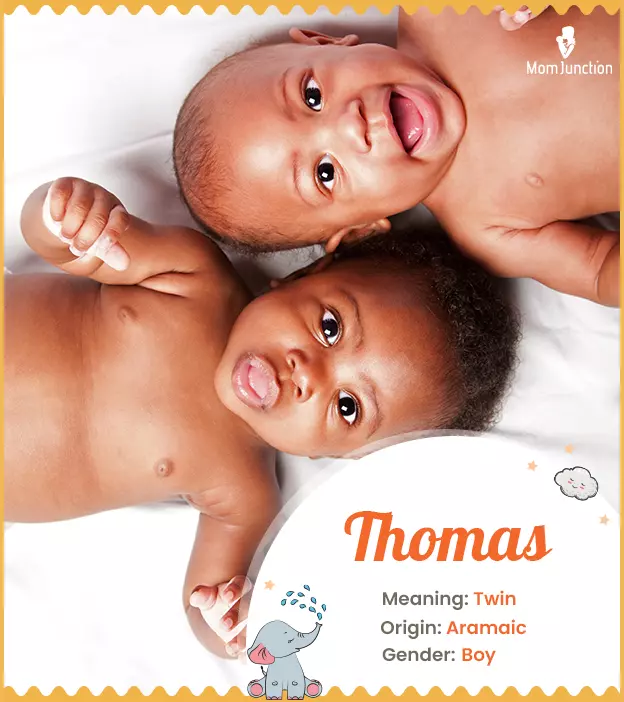 Thomas: Name Meaning, Origin, History, And Popularity ...