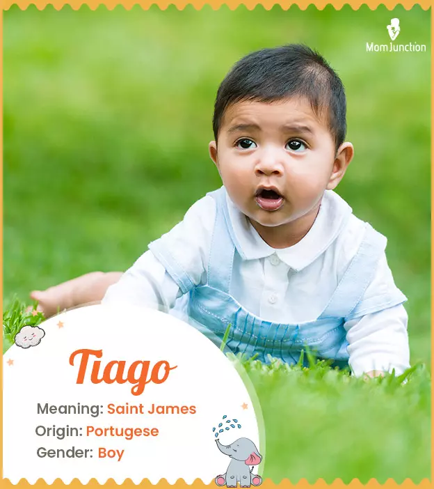 Tiago Name Meaning, Origin, History, And Popularity_image