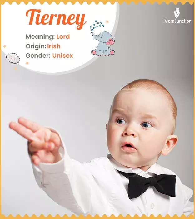 Tierney: Name Meaning, Origin, History, And Popularity | MomJunction