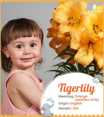 tigerlily