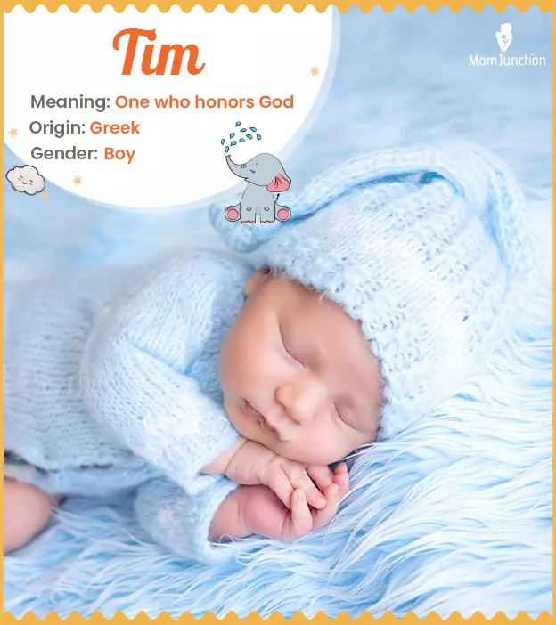 Tim: Name Meaning, Origin, History, And Popularity | MomJunction