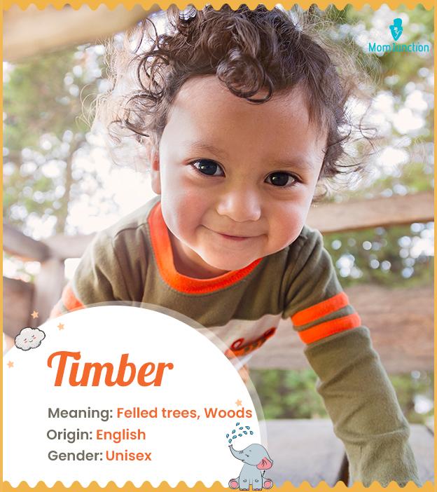 timber-name-meaning-origin-history-and-popularity