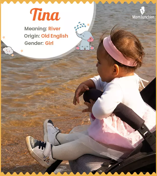 Tina: Name Meaning, Origin, History, And Popularity_image