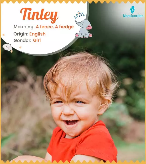 tinley: Name Meaning, Origin, History, And Popularity | MomJunction