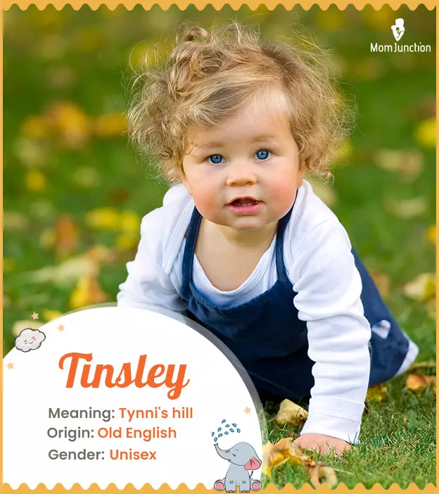 Explore Tinsley: Meaning, Origin & Popularity_image