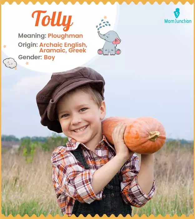 Tolly