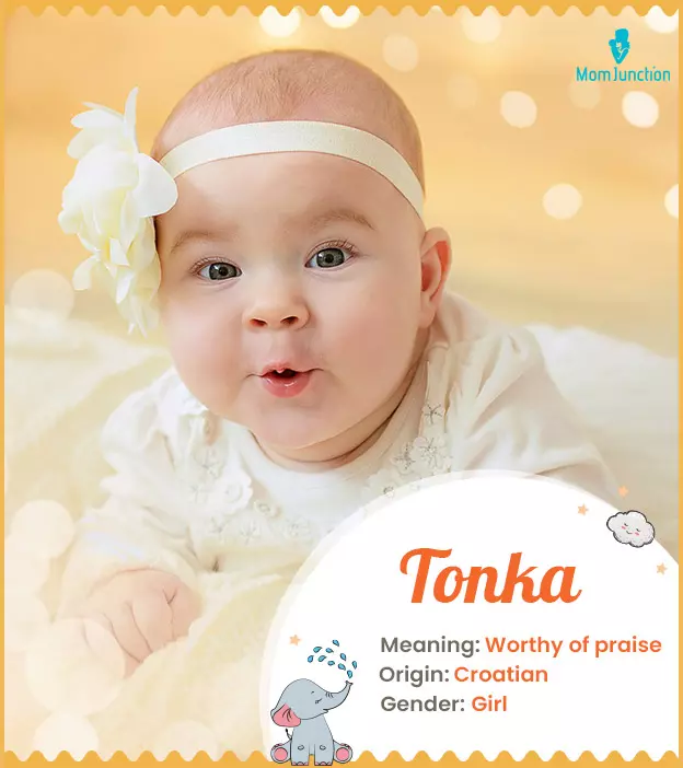 Tonka Meaning, Origin, History, And Popularity | MomJunction