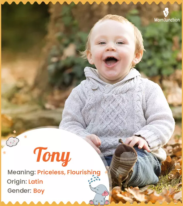 Tony Name Meaning, Origin, History, And Popularity_image