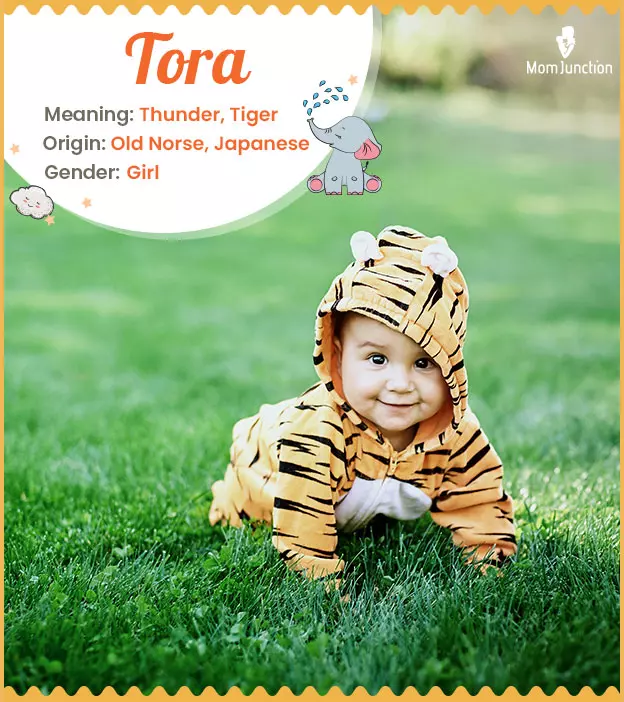 tora: Name Meaning, Origin, History, And Popularity | MomJunction