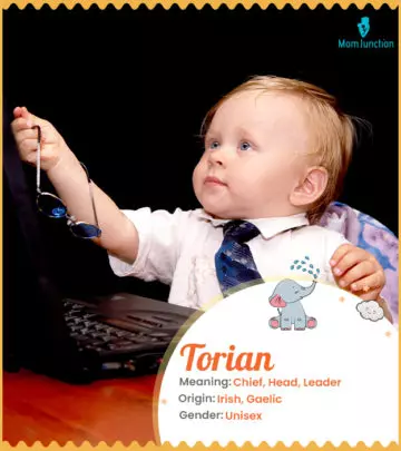 Explore Torian: Meaning, Origin & Popularity | MomJunction