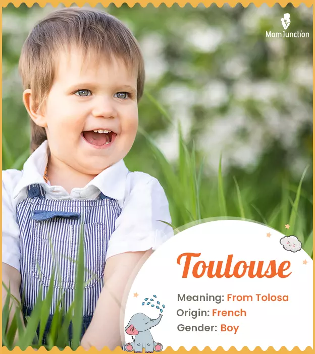 Toulouse Meaning, Origin, History, And Popularity | MomJunction