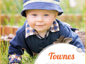 Townes, depicting town life