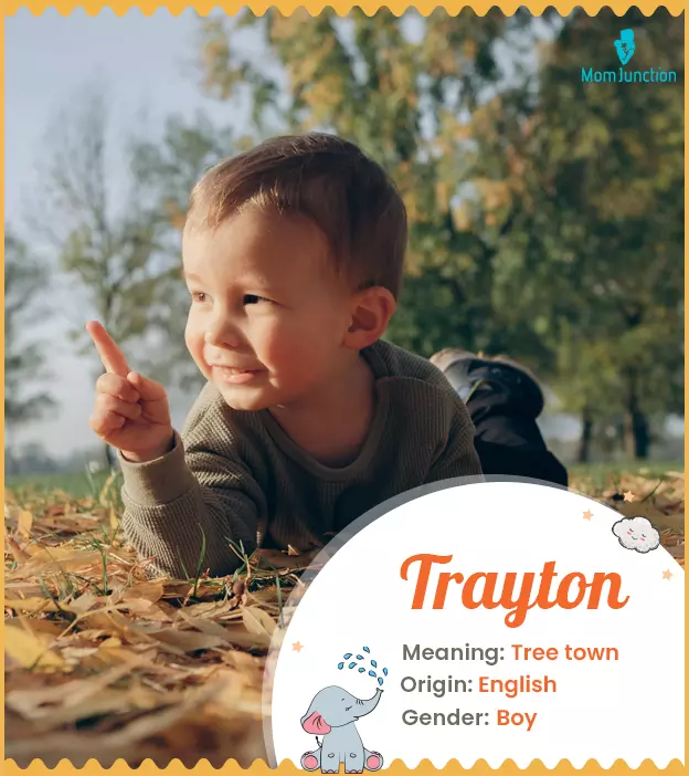 Explore Trayton: Meaning, Origin & Popularity | MomJunction