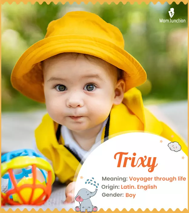 Trixy Name Meaning, Origin, History, And Popularity_image