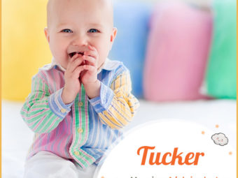 Tucker, an English occupational name