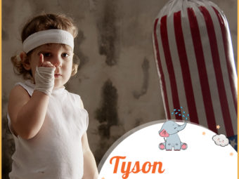 Tyson meaning high spirited