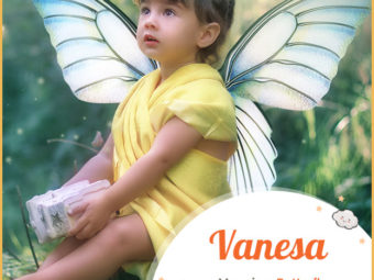 Vanesa, meaning butterfly