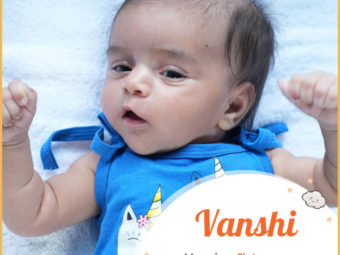 Vanshi, meaning flute