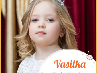 Vasilka means kingly or royal