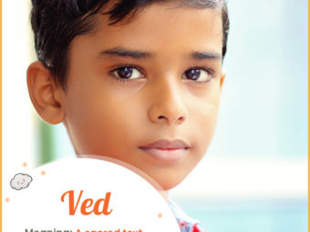Ved, a sacred text in Hinduism
