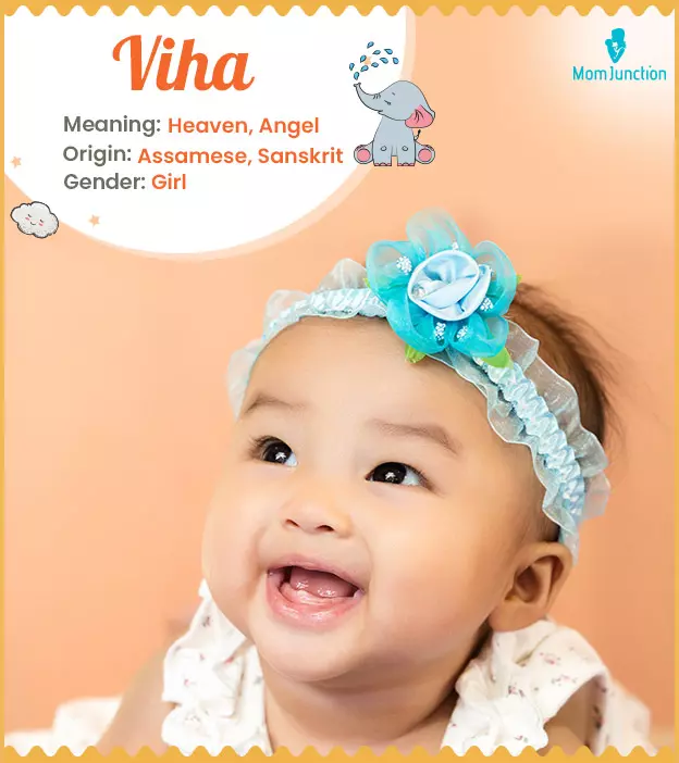 Viha: Name Meaning, Origin, History, And Popularity_image