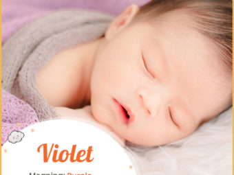 Violet, a colorful floral name