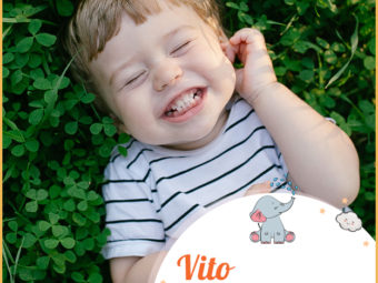 Vito, a lively and vibrant name