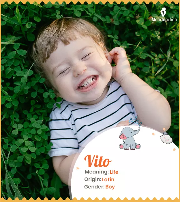 Vito Name, Meaning, Origin, History, And Popularity | MomJunction