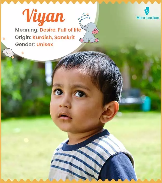 Explore Viyan: Meaning, Origin & Popularity | MomJunction