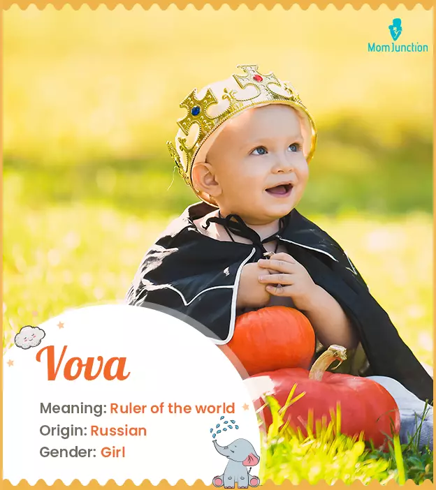 Vova Name, Meaning, Origin, History And Popularity | MomJunction