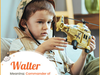Walter, a heroic name for baby boys