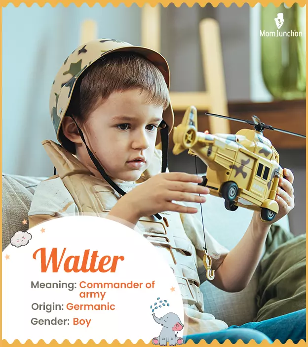 Walter: Name Meaning, Origin, History, and Popularity_image