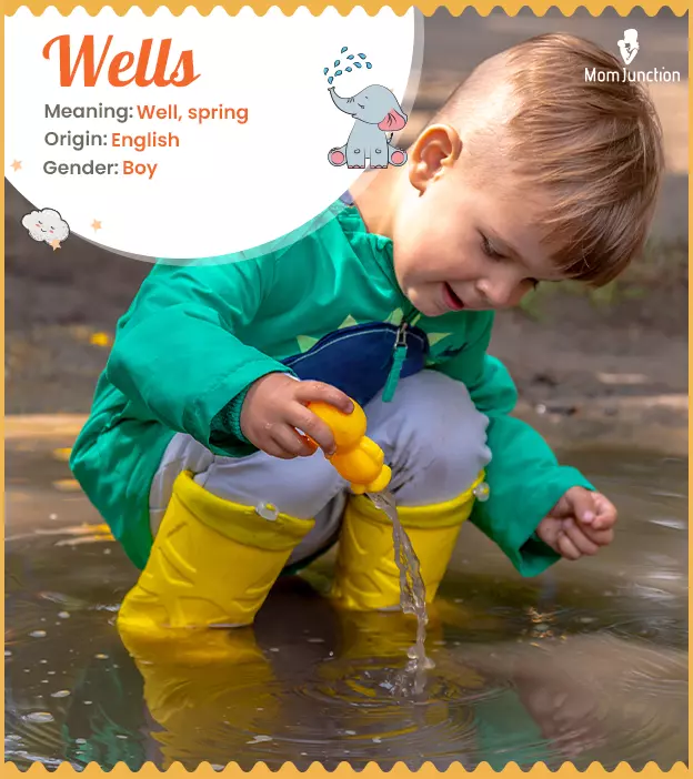 Wells, meaning sprin