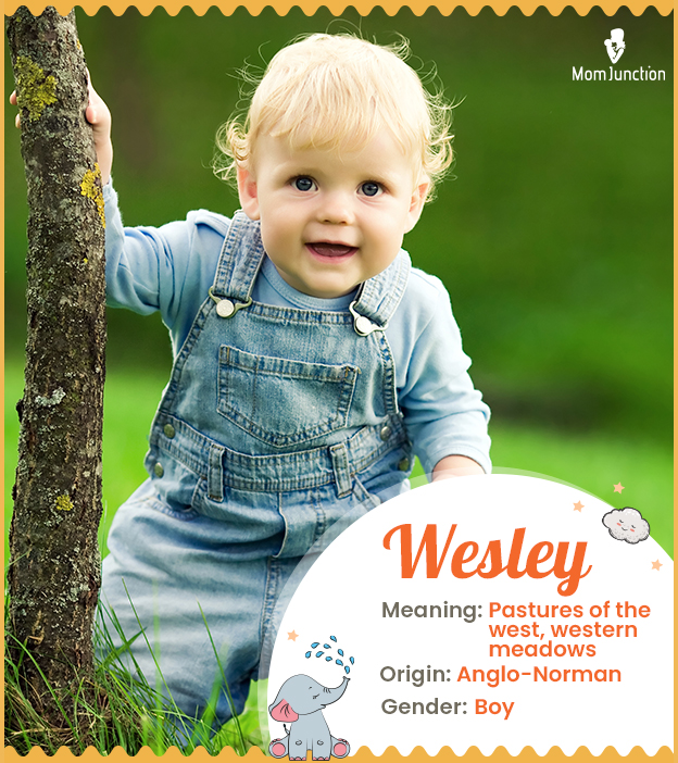 Wesley Meaning, Origin, History, And Popularity_image