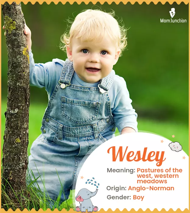 Wesley Meaning, Origin, History, And Popularity | MomJunction