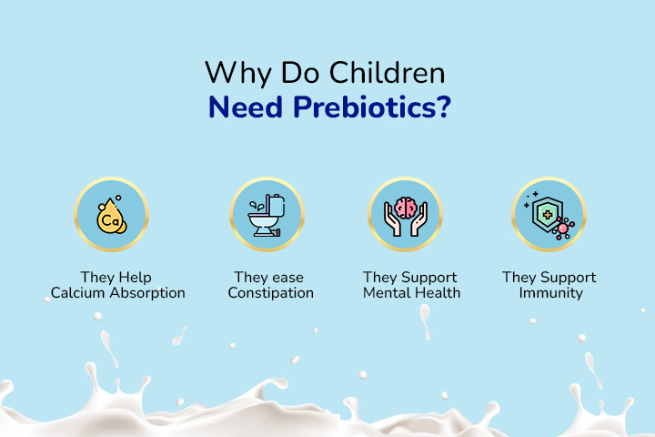 Sources Of Prebiotics