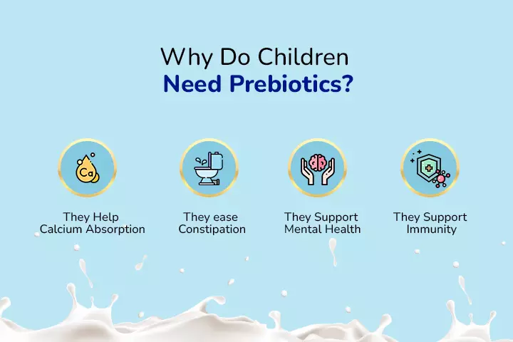 Sources Of Prebiotics