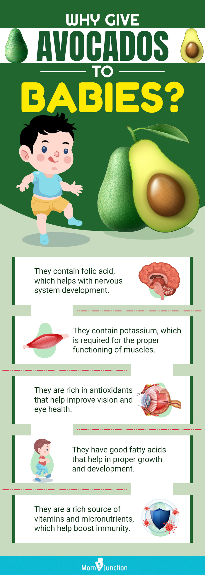 https://cdn2.momjunction.com/wp-content/uploads/2022/12/Why-Give-Avocados-To-Babies.jpg