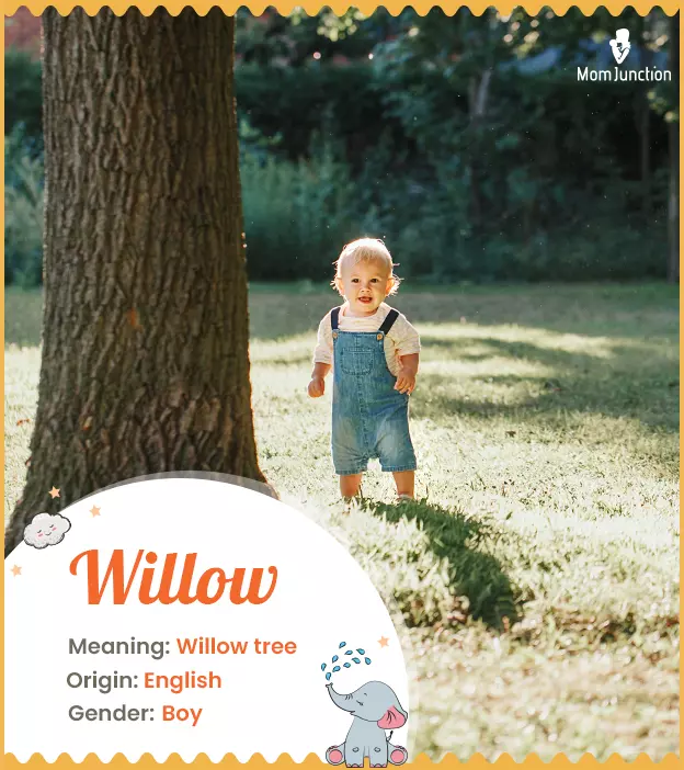 Willow, inspired by 