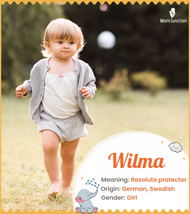 Wilma Name Meaning, Origin, History, And Popularity_image