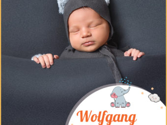 Wolfgang, travelling wolf
