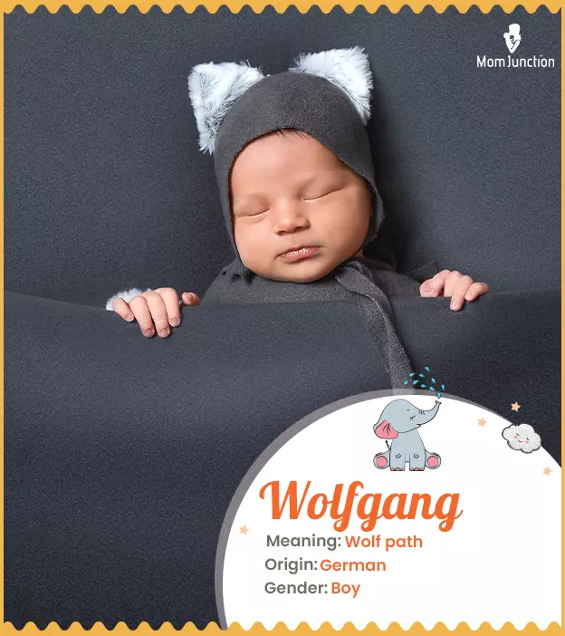 Wolfgang Name Meaning, Origin, History, And Popularity_image