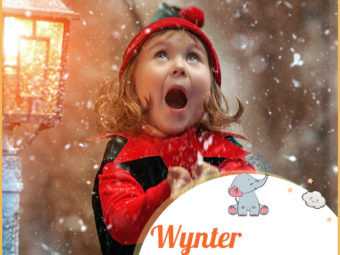 Wynter, means the winter season.
