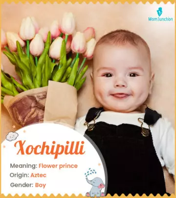 Xochipilli meaning Flower prince