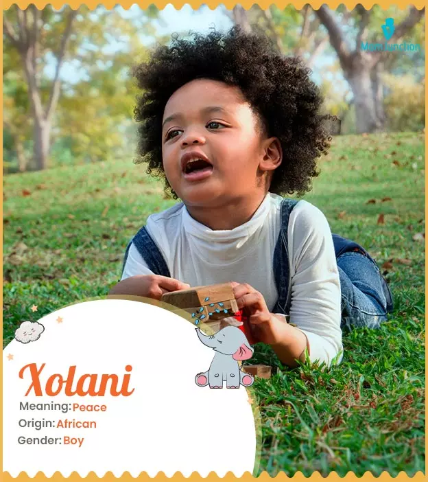 Xolani Name, Meaning, Origin, History And Popularity | MomJunction