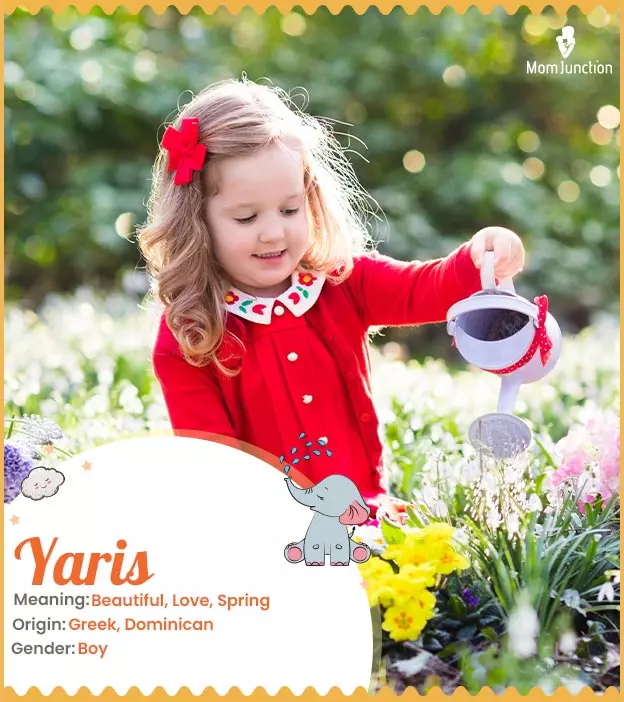 Yaris Meaning, Origin, History, And Popularity | MomJunction