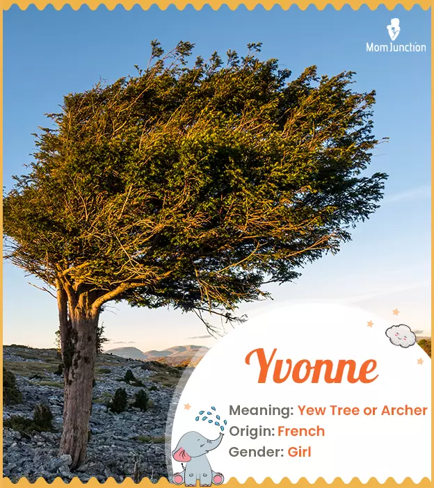 Yvonne, little arche